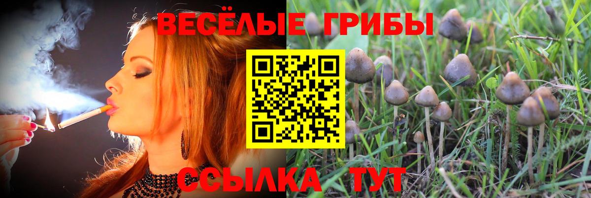 Псилоцибиновые грибы прущие грибы Советская Гавань